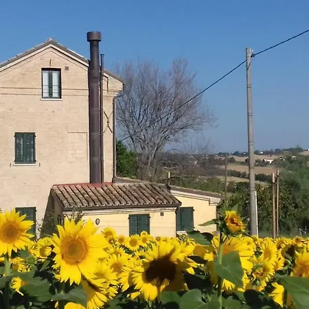 La Casa Dei Girasoli Σενιγκάλια